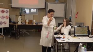 Почему таблетки не всегда на пользу?