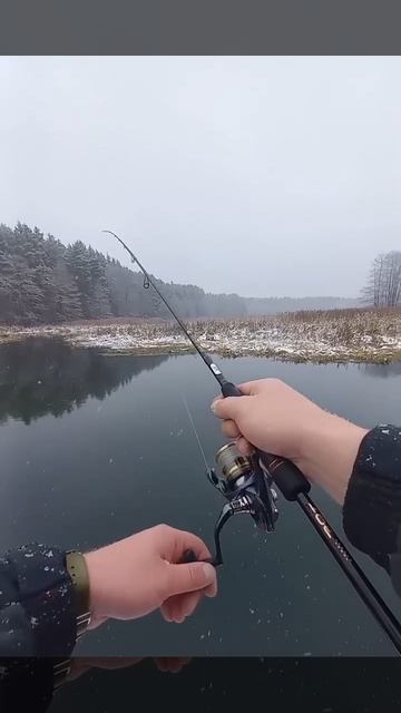 Как ловить щуку на спиннинг зимой? смотреть онлайн