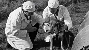 Если бы старые фото могли говорить…