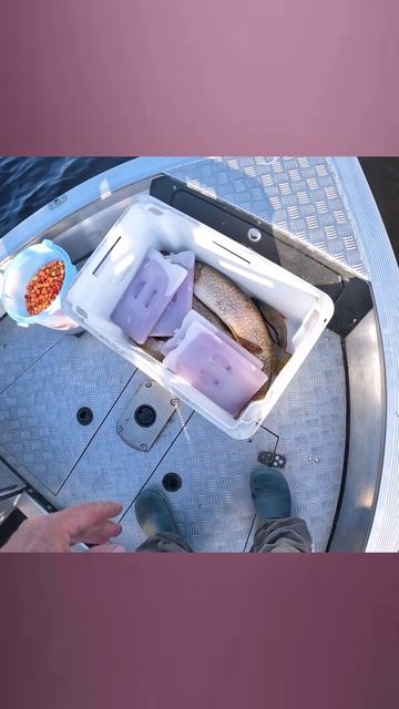 Два Зайца в Лодке! смотреть онлайн