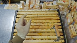 Про сотовый мёд.