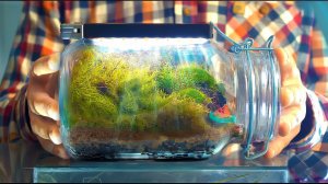 ЧТО С ТЕРРАРИУМОМ? 4 ГОДА СПУСТЯ!