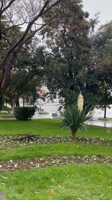 Ялта 💖💖💖 смотреть онлайн