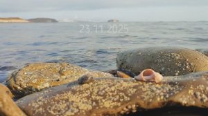 Более 18000 км в SSB на простую антенну и 80 ватт.