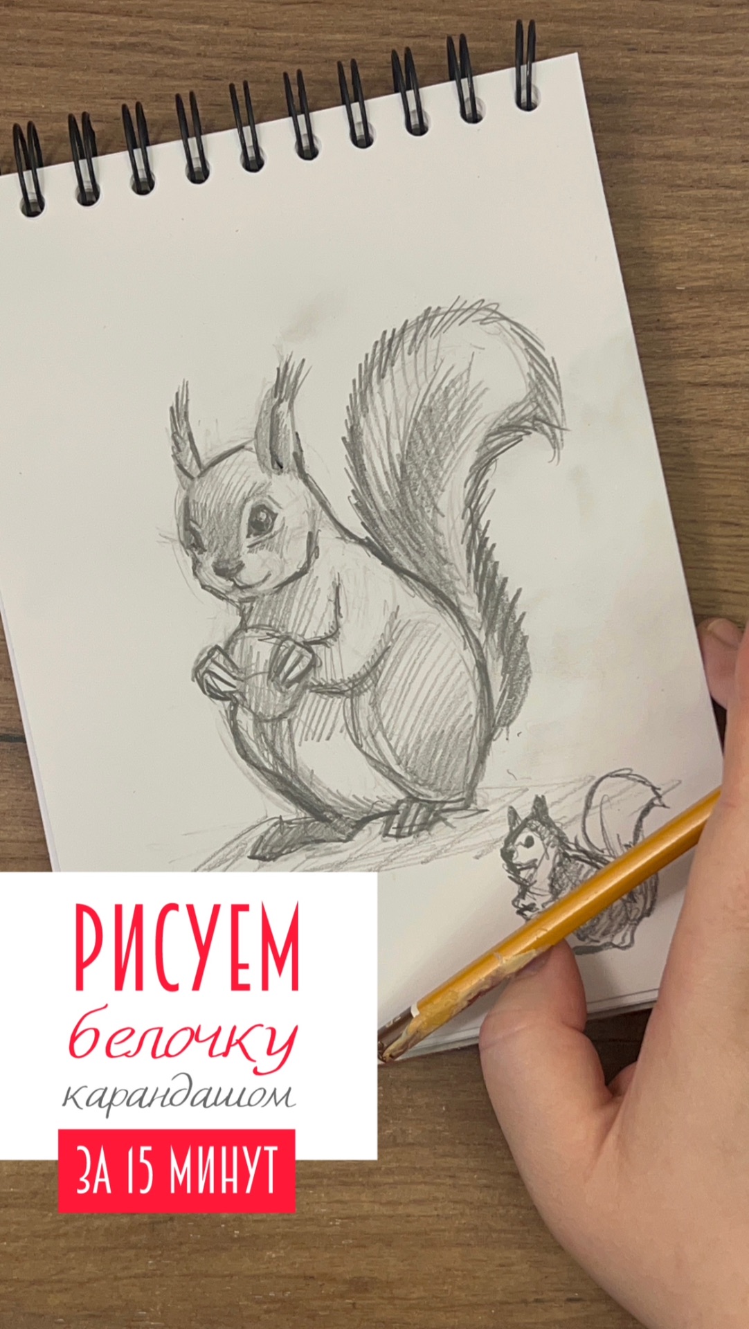 🐿️ Рисуем белочку карандашом за 15 минут — и это проще, чем кажется!