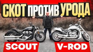 Несравнимые? Harley-Davidson V-Rod vs Indian Scout