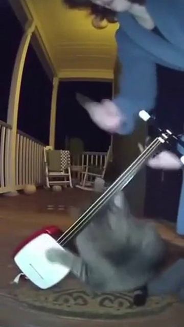 Ночной музыкант