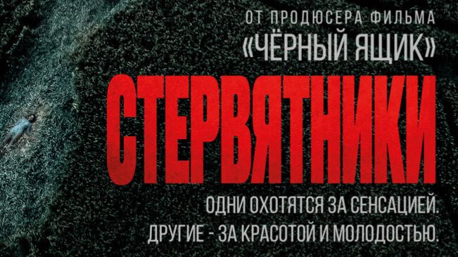 Стервятники 2025. | Трейлер смотреть онлайн