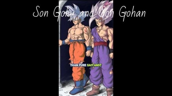 Son Goku and Son Gohan