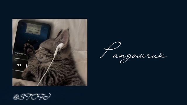 Рандомчик💗 смотреть онлайн