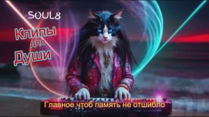 ГЛАВНОЕ ЧТОБ ПАМЯТЬ НЕ ОТШИБЛО -  Клипы для Души ТОП -10 Music Videos #русские_песни #музыка #music