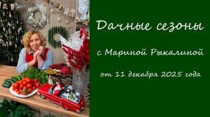 Дачные сезоны с Мариной Рыкалиной от 11 декабря 2025 года