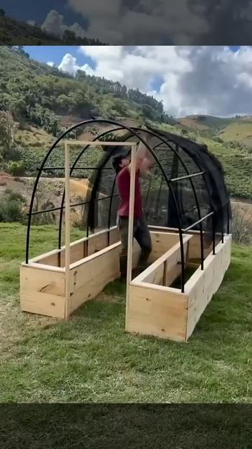 Теплица смотреть онлайн