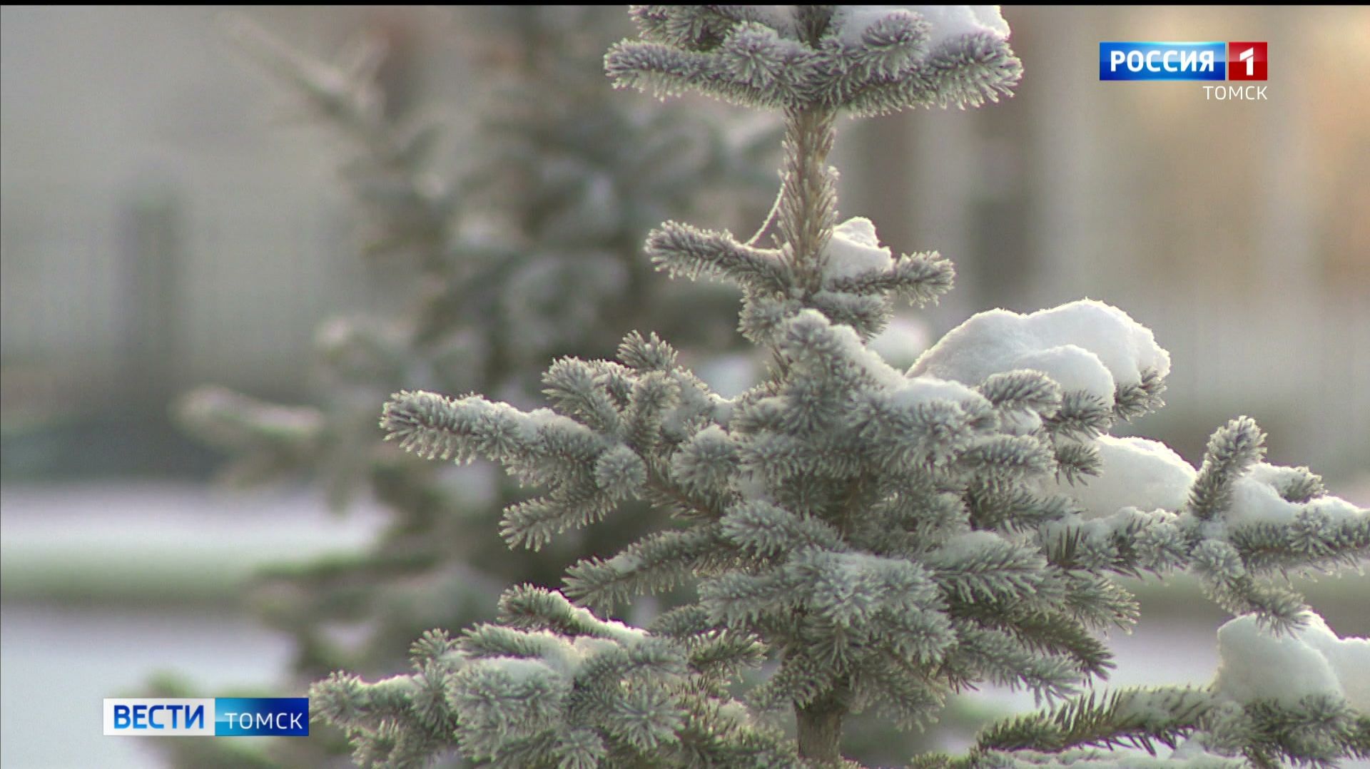 Вести-Томск, выпуск от 08.12.2025 21:10 смотреть онлайн