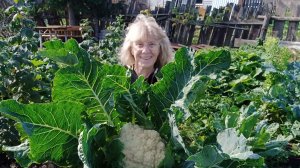 ВЫХОДНЫЕ В ДЕРЕВНЕ.