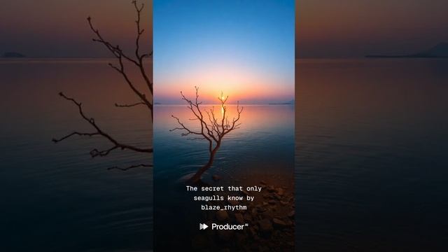 The secret that only seagulls know