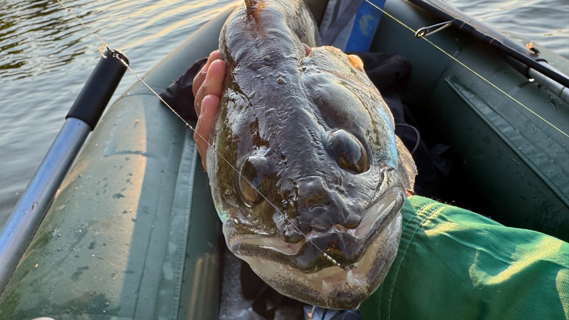Рыбалка на спиннинг. Рыбалка на блесну. Рыбалка с лодки на спиннинг. Блесна. Рыбалка на ультралайт.
