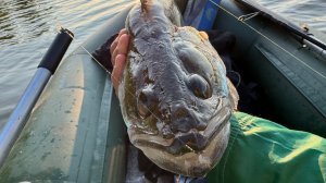 Рыбалка на спиннинг. Рыбалка на блесну. Рыбалка с лодки на спиннинг. Блесна. Рыбалка на ультралайт.