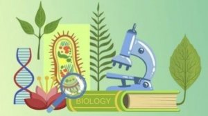 Биология 9  класс.  Индивидуальное развитие организмов.