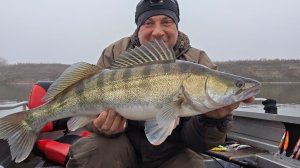 С БАНДОСОМ на 10 метров - за одну рыбалку несколько трофеев! Ловля судака осенью в Астраханской обл