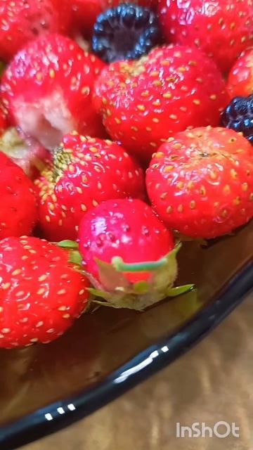 Насекомые#часть живой природы