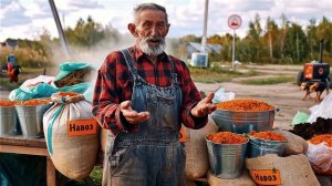 заброшенная фотография , оживление.