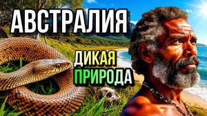 АВСТРАЛИЯ Древний Материк Где Живут Странные Животные
