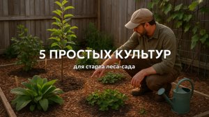 Лес-сад на маленьком участке: начните всего с 5 растений