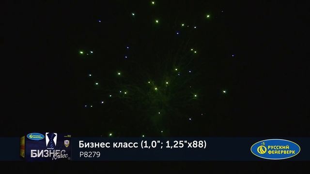 Бизнес класс 1,1,2х88