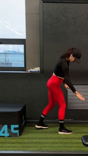 Болгарские выпады