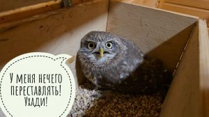 Навела бардак у сыча Лучика и ничего не убрала, за что и огребаю. Озон вернул деньги за термометры