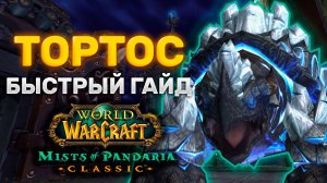 ГАЙД ТОРТОС | ТАКТИКА ТОРТОС | ПРЕСТОЛ ГРОЗ | MISTS OF PANDARIA CLASSIC