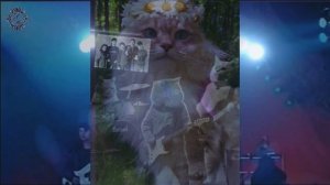 В стиле Сектор Газа  -  Забери забери мои лучшие годы