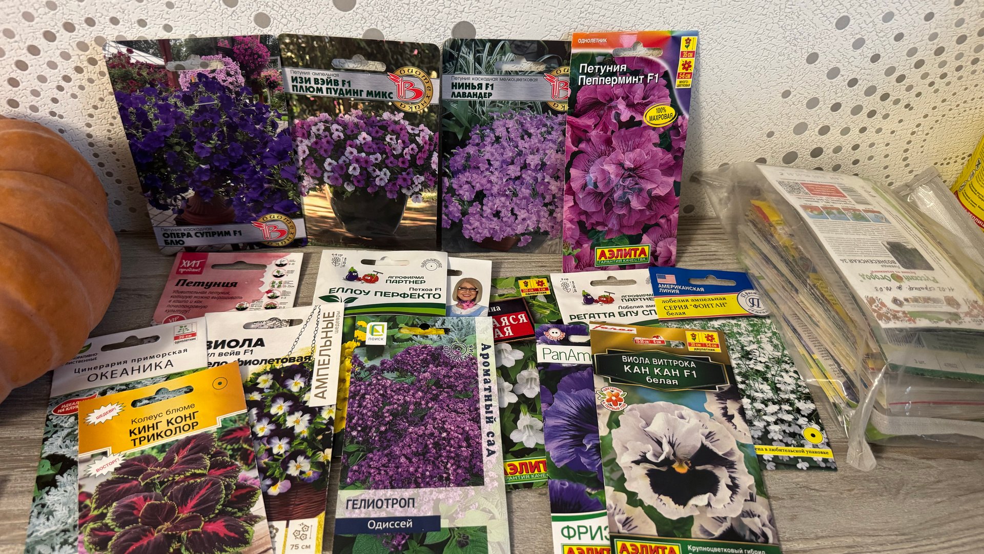 ЦВЕТЫ 2026 для раннего посева, первая подкормка смотреть онлайн