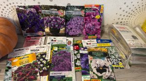 ЦВЕТЫ 2026 для раннего посева, первая подкормка