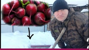 блог/Денис Савенков/обзор погреба,затарился на зиму,рубем дрова,мороз -30градусов/