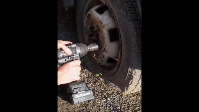 video5319201912447339859 смотреть онлайн