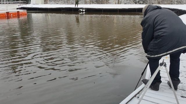 Форель на резину. Вип зона. смотреть онлайн