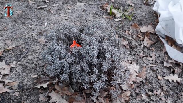 ОПИЛА ЕСТ КИНДЕРЫ ??? Сад Банбана в реальной жизни 2 серия смотреть онлайн