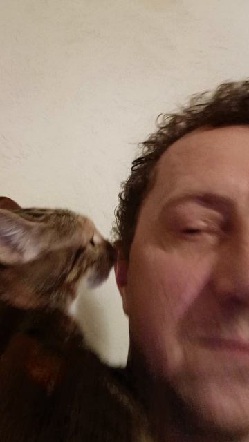 утренние мур мур смотреть онлайн