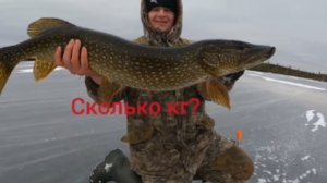 Второй лёд 2025-2026г. Рыбалка на жерлицы!