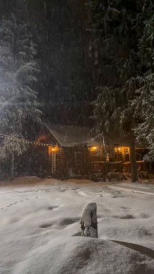 Дом в лесу Дмитровский район