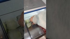 Страшная история от ДАШИ РОКС "Иной мир" ФОНЫ НЕ МОИ! Вторая часть