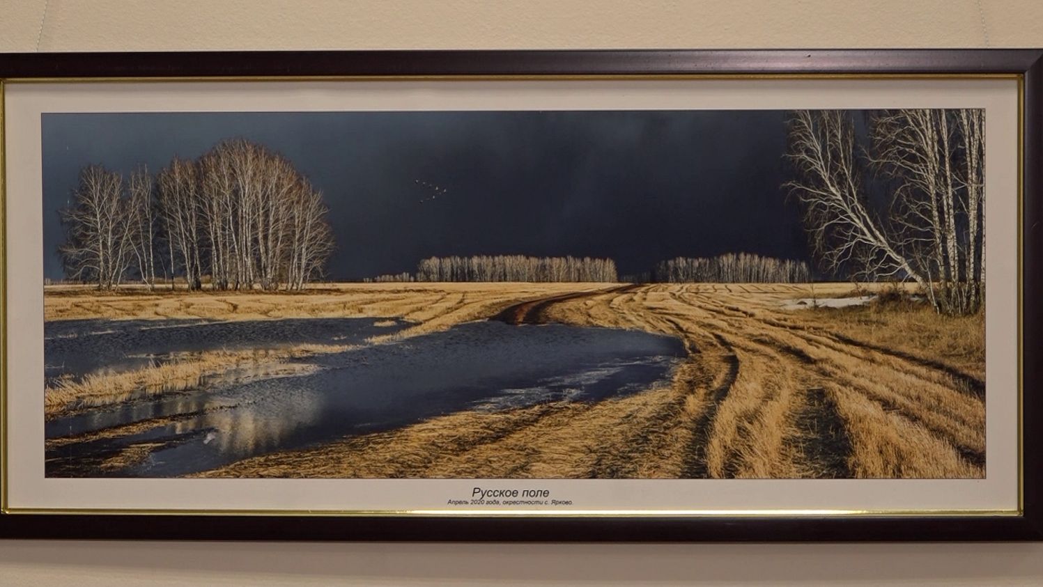 Фотопроект «Русское поле» представлен в Университете биотехнологий смотреть онлайн