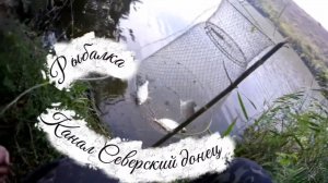 Рыбалка на канале Северский донец