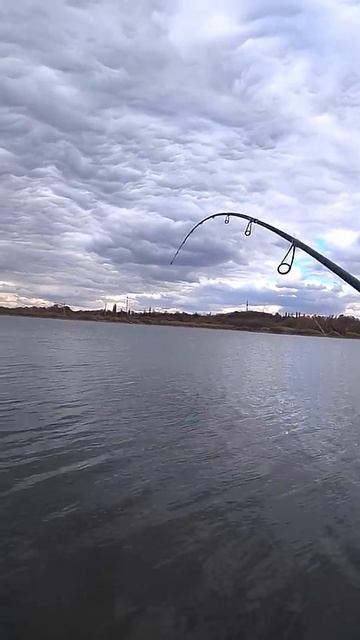 Поклёвка под бровкой #рыбалка #fishing #джиг