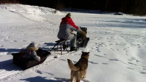 Гусеницы для мотоблока