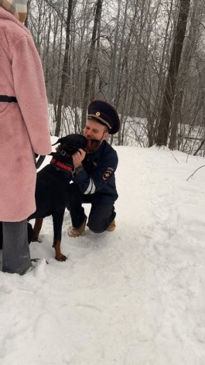 Совсем уже ?