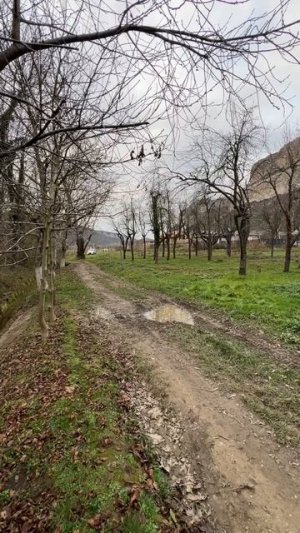 УЧАСТОК В БЕЛЬБЕКСКОЙ ДОЛИНЕ КРЫМА