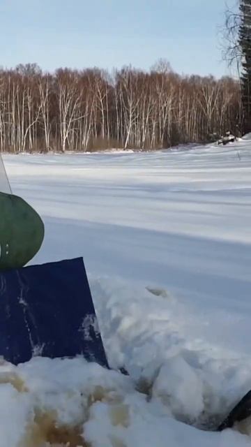 Мотобуксировщик лидер. смотреть онлайн